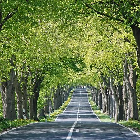 Familie Hartwig * Blieschow